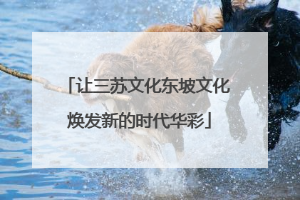 让三苏文化东坡文化焕发新的时代华彩