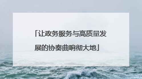 让政务服务与高质量发展的协奏曲响彻大地