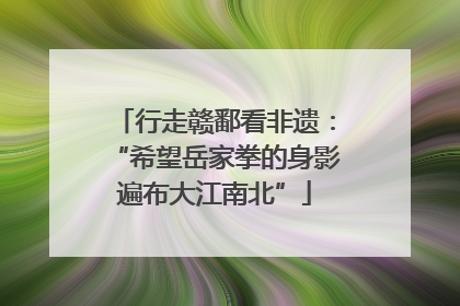 行走赣鄱看非遗：“希望岳家拳的身影遍布大江南北”