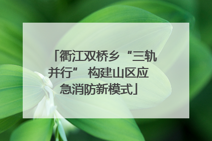 衢江双桥乡“三轨并行” 构建山区应急消防新模式