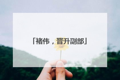 褚伟，晋升副部