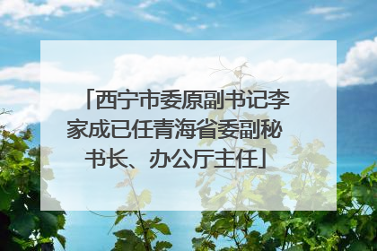西宁市委原副书记李家成已任青海省委副秘书长、办公厅主任