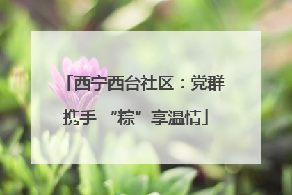 西宁西台社区：党群携手 “粽”享温情