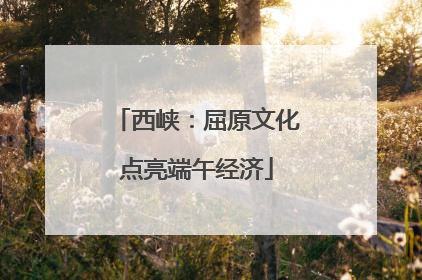 西峡：屈原文化点亮端午经济