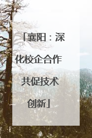 襄阳：深化校企合作 共促技术创新