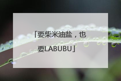 要柴米油盐，也要LABUBU
