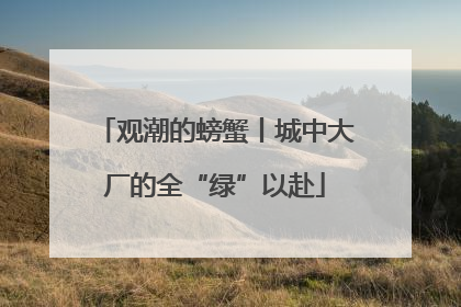 观潮的螃蟹丨城中大厂的全“绿”以赴