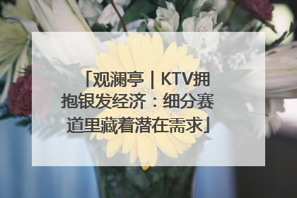 观澜亭｜KTV拥抱银发经济：细分赛道里藏着潜在需求