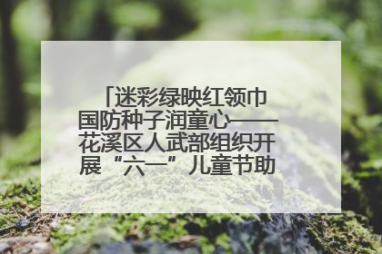 迷彩绿映红领巾 国防种子润童心——花溪区人武部组织开展“六一”儿童节助学兴教活动