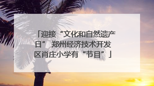 迎接“文化和自然遗产日” 郑州经济技术开发区肖庄小学有“节目”