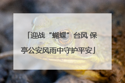 迎战“蝴蝶”台风 保亭公安风雨中守护平安