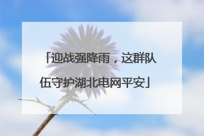 迎战强降雨，这群队伍守护湖北电网平安