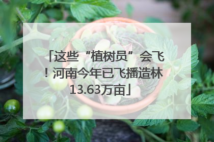 这些“植树员”会飞！河南今年已飞播造林13.63万亩