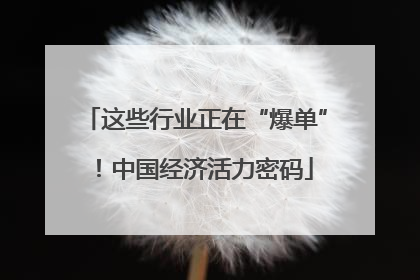 这些行业正在“爆单”！中国经济活力密码