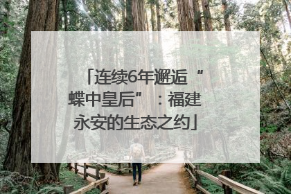 连续6年邂逅“蝶中皇后”：福建永安的生态之约