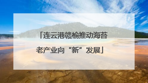 连云港赣榆推动海苔老产业向“新”发展