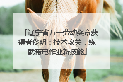 辽宁省五一劳动奖章获得者佟明：技术攻关，练就带电作业新技能