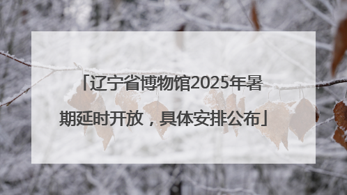 辽宁省博物馆2025年暑期延时开放，具体安排公布