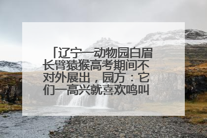 辽宁一动物园白眉长臂猿猴高考期间不对外展出，园方：它们一高兴就喜欢鸣叫，怕影响考试