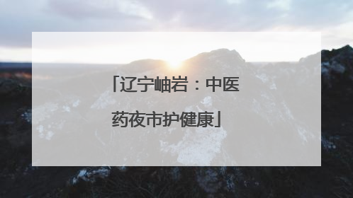 辽宁岫岩：中医药夜市护健康