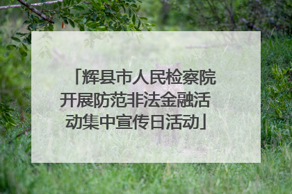 辉县市人民检察院开展防范非法金融活动集中宣传日活动