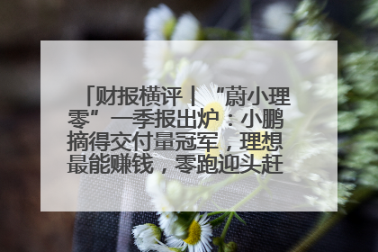 财报横评丨“蔚小理零”一季报出炉：小鹏摘得交付量冠军，理想最能赚钱，零跑迎头赶上，蔚来还在调整