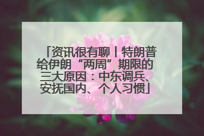 资讯很有聊丨特朗普给伊朗“两周”期限的三大原因：中东调兵、安抚国内、个人习惯