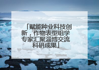 赋能种业科技创新，作物表型组学专家汇聚淄博交流科研成果