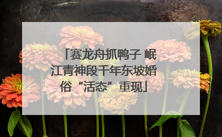 赛龙舟抓鸭子 岷江青神段千年东坡婚俗“活态”重现