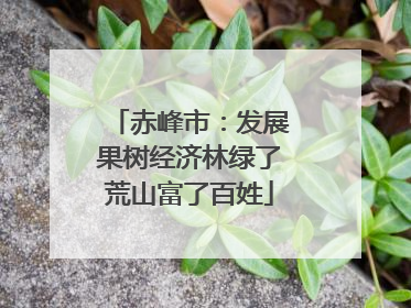 赤峰市：发展果树经济林绿了荒山富了百姓