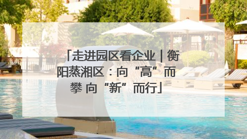 走进园区看企业｜衡阳蒸湘区：向“高”而攀 向“新”而行