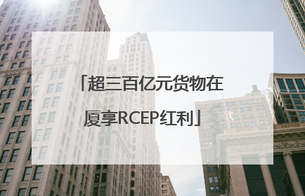 超三百亿元货物在厦享RCEP红利