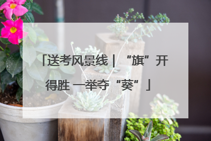送考风景线｜“旗”开得胜 一举夺“葵”