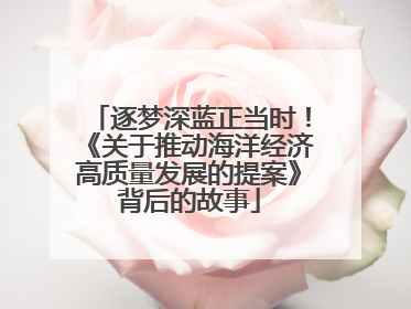 逐梦深蓝正当时！《关于推动海洋经济高质量发展的提案》背后的故事