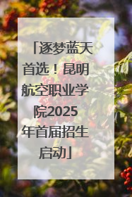 逐梦蓝天首选！昆明航空职业学院2025年首届招生启动