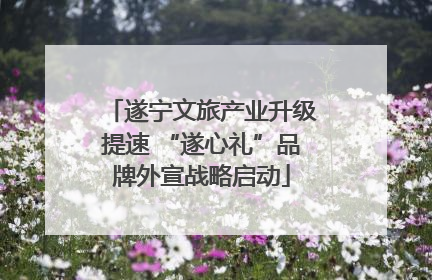 遂宁文旅产业升级提速 “遂心礼”品牌外宣战略启动