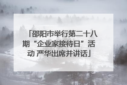 邵阳市举行第二十八期“企业家接待日”活动 严华出席并讲话
