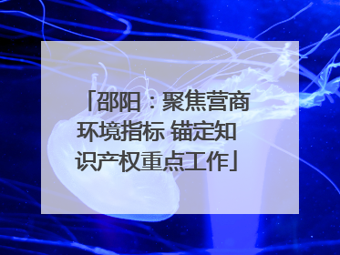 邵阳：聚焦营商环境指标 锚定知识产权重点工作