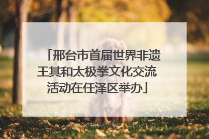 邢台市首届世界非遗王其和太极拳文化交流活动在任泽区举办