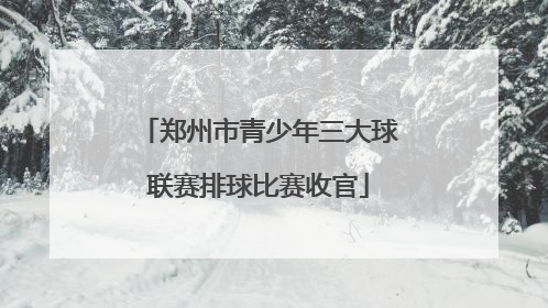 郑州市青少年三大球联赛排球比赛收官
