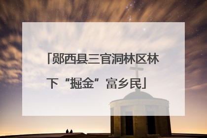郧西县三官洞林区林下“掘金”富乡民