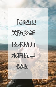 郧西县关防乡新技术助力水稻抗旱保收