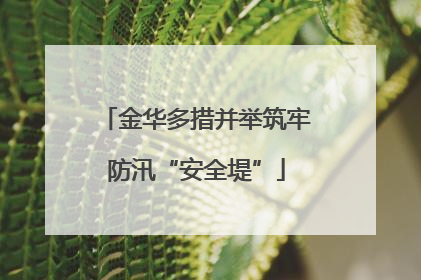 金华多措并举筑牢防汛“安全堤”