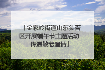 金家岭街道山东头管区开展端午节主题活动 传递敬老温情