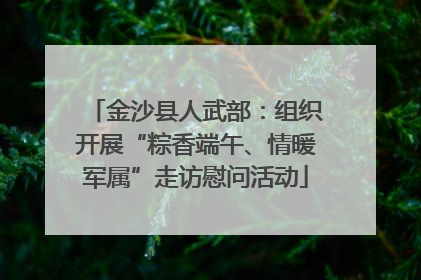 金沙县人武部：组织开展“粽香端午、情暖军属”走访慰问活动