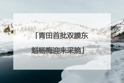 青田首批双膜东魁杨梅迎来采摘