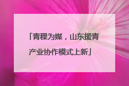 青稞为媒，山东援青产业协作模式上新