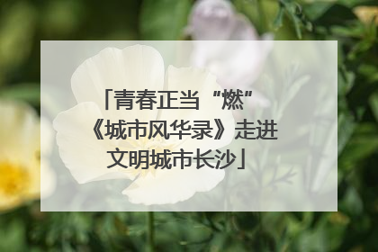 青春正当“燃” 《城市风华录》走进文明城市长沙
