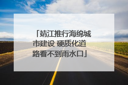 靖江推行海绵城市建设 硬质化道路看不到雨水口