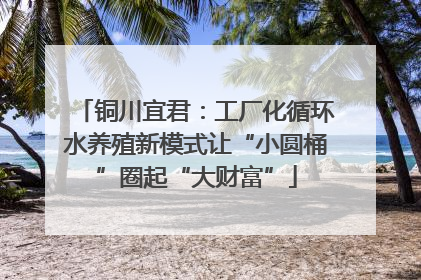 铜川宜君：工厂化循环水养殖新模式让“小圆桶”圈起“大财富”
